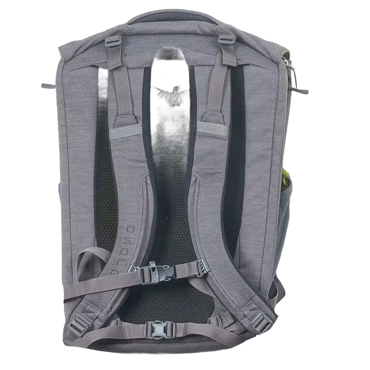 26 LGray