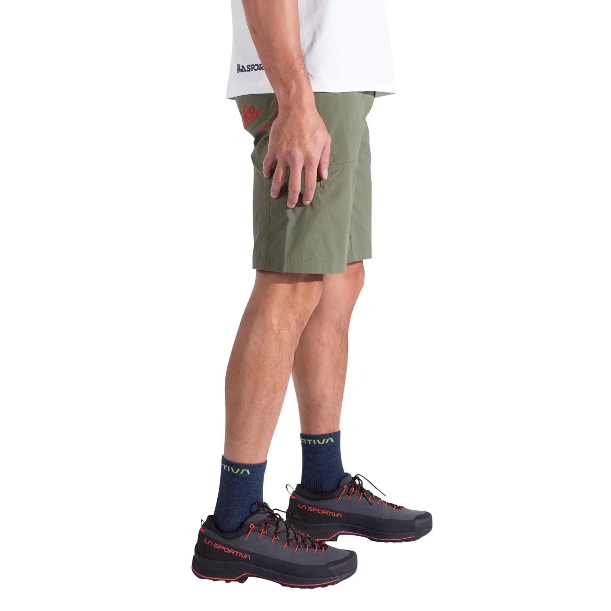 SCypress/Night Sky