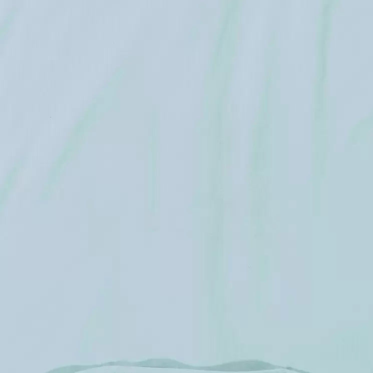 LSea Foam