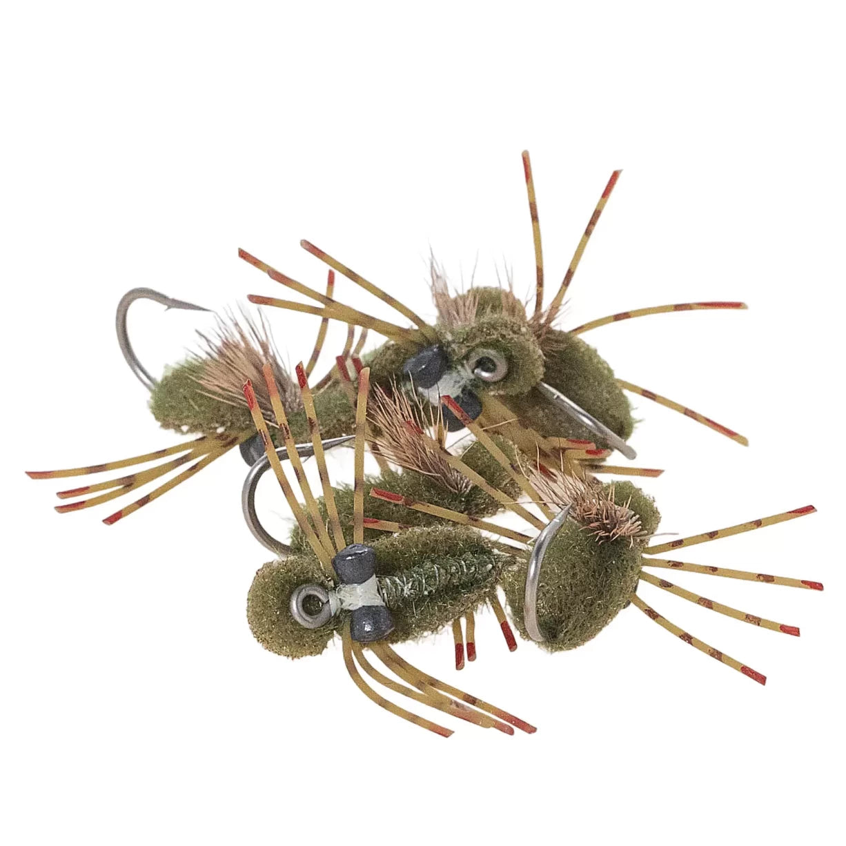 6Olive
