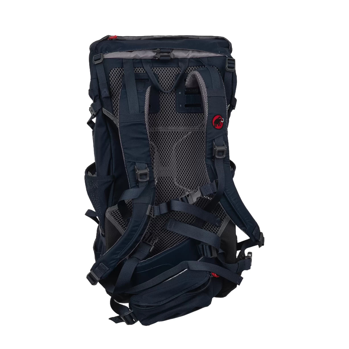 30 LBlue