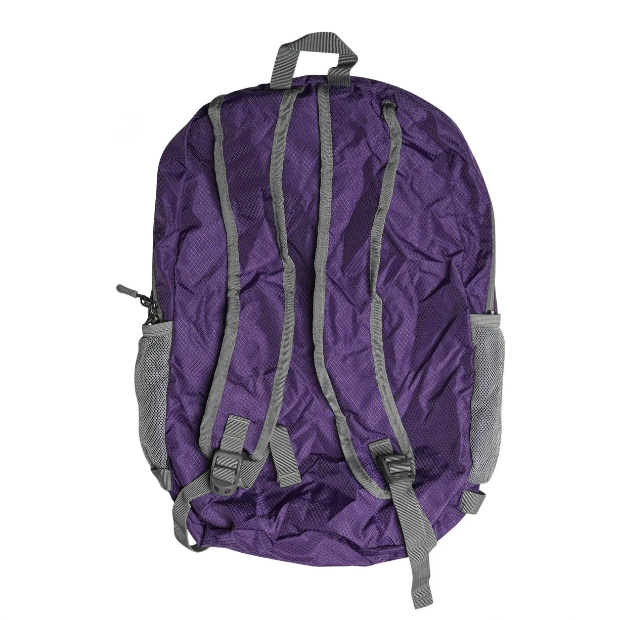 20 LPurple