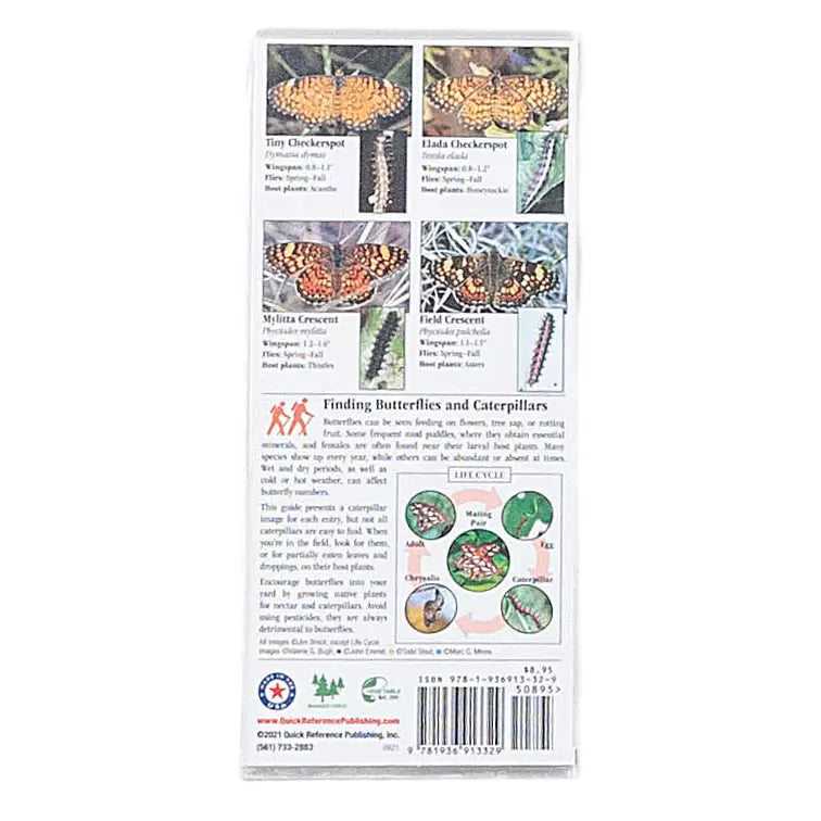 One SizeButterflies