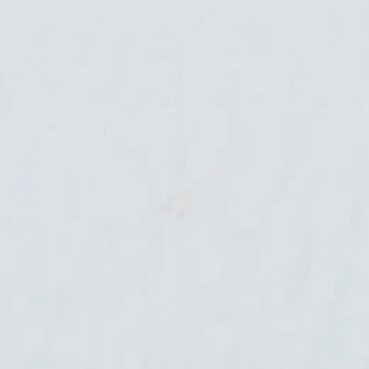 8Wallnut/Fluo Orange