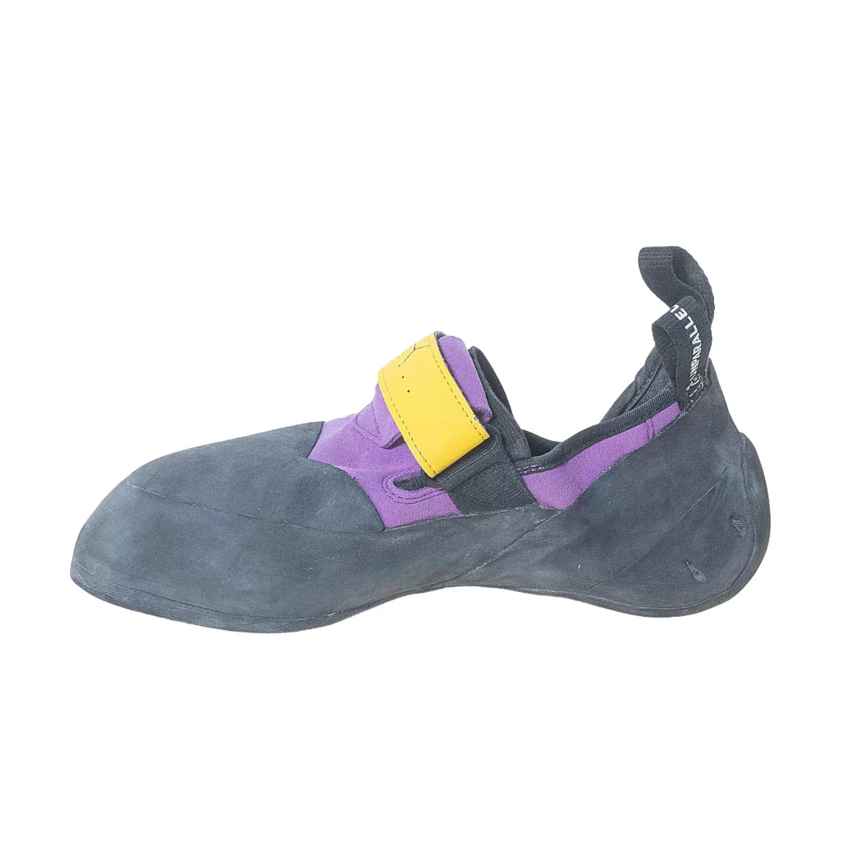 43.0Purple