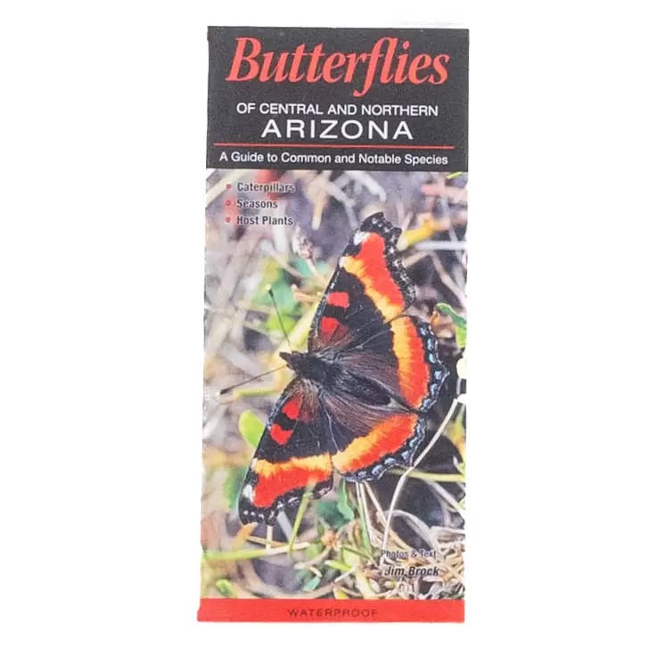 One SizeButterflies