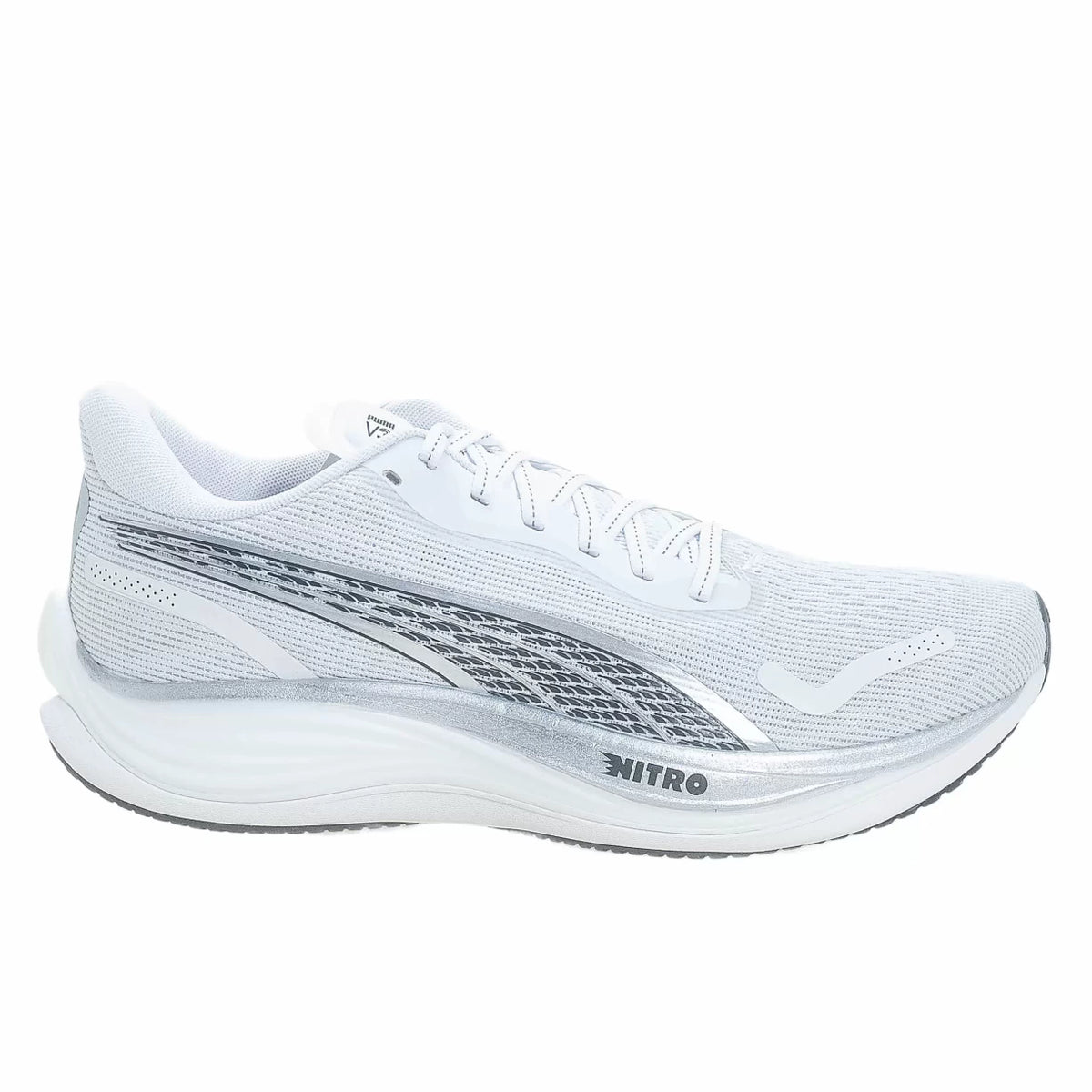 10White/Gray