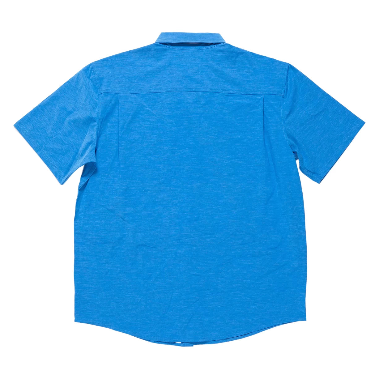 LOcean Blue