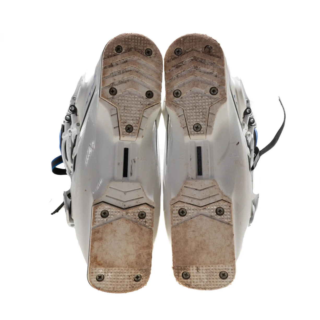 25.5White