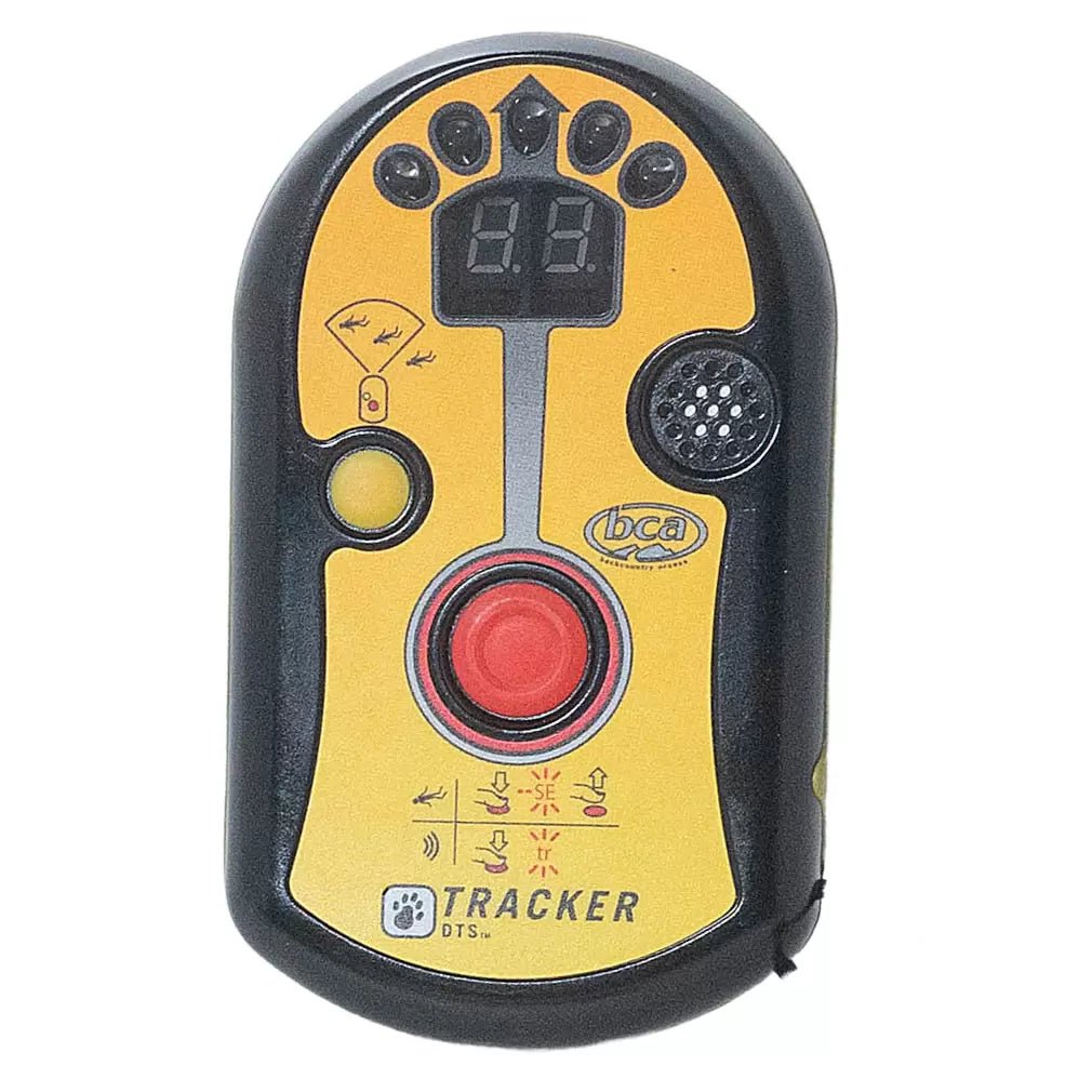 One SizeYellow/Black