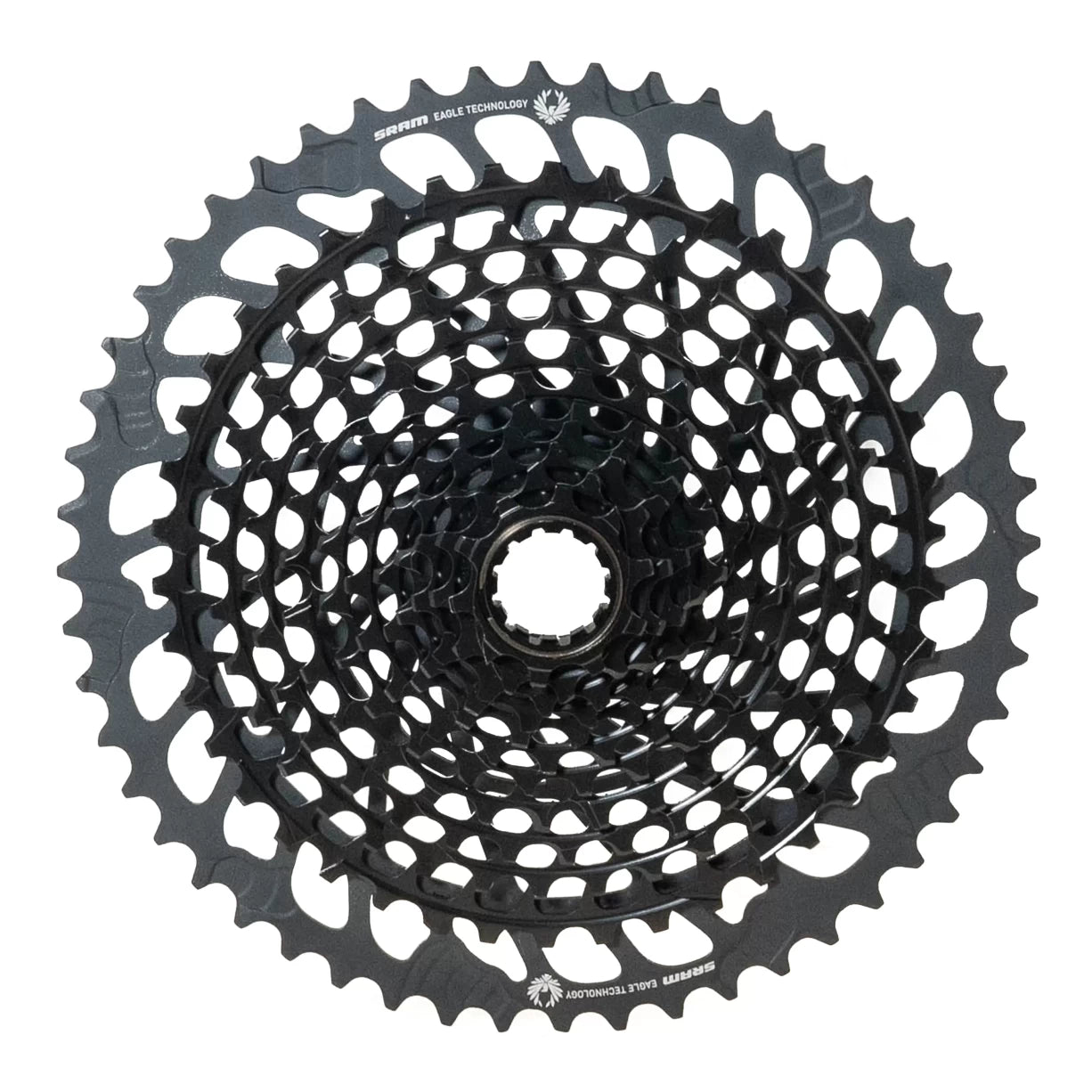 10Black