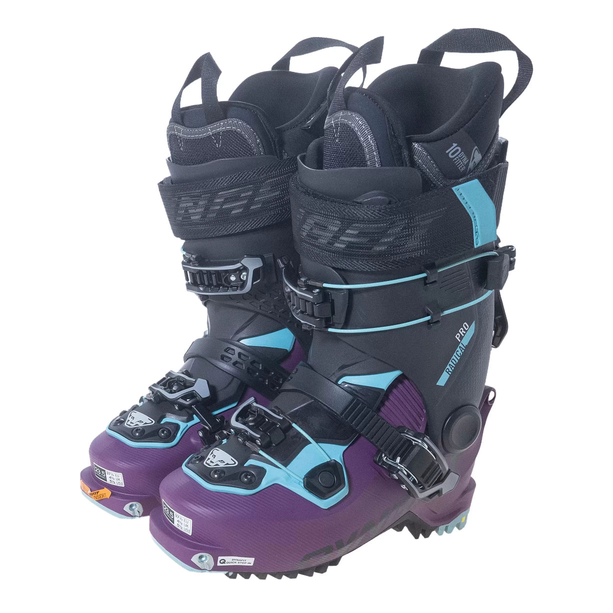 23.5Purple