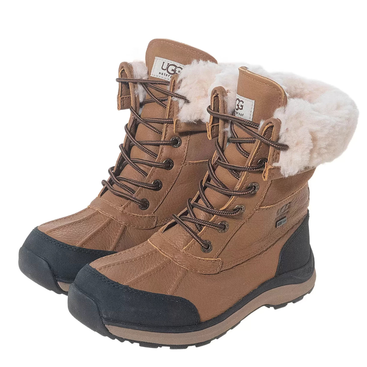 6Brown