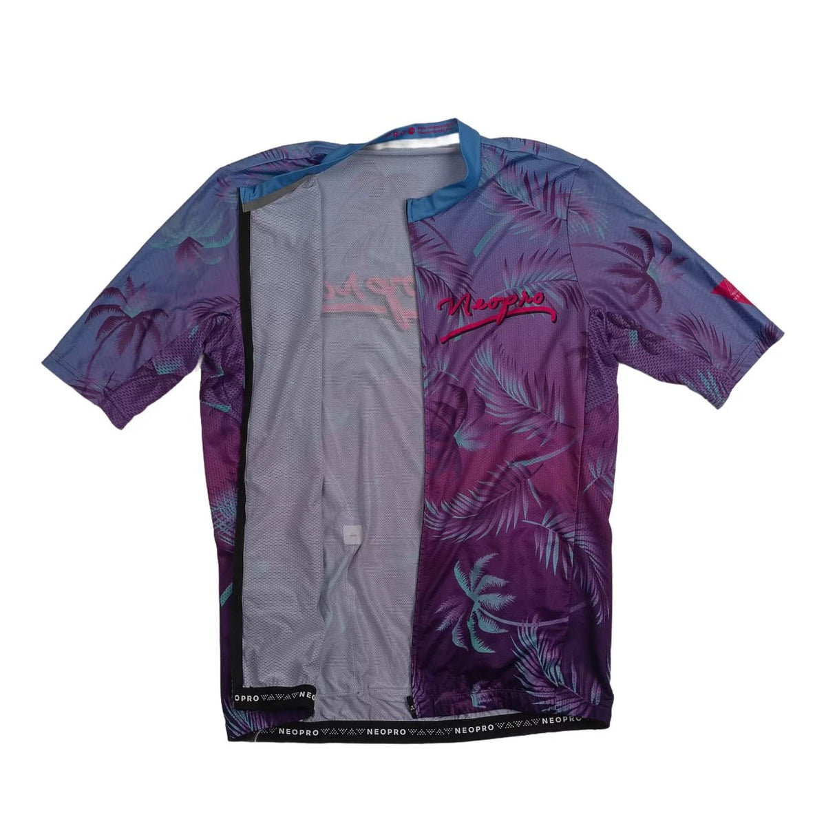 2XLPurple/Blue