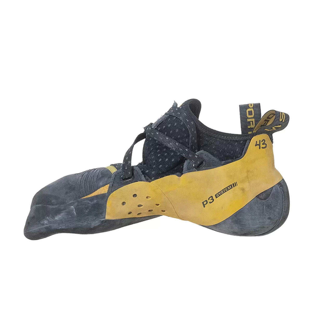 43.0Black/Yellow