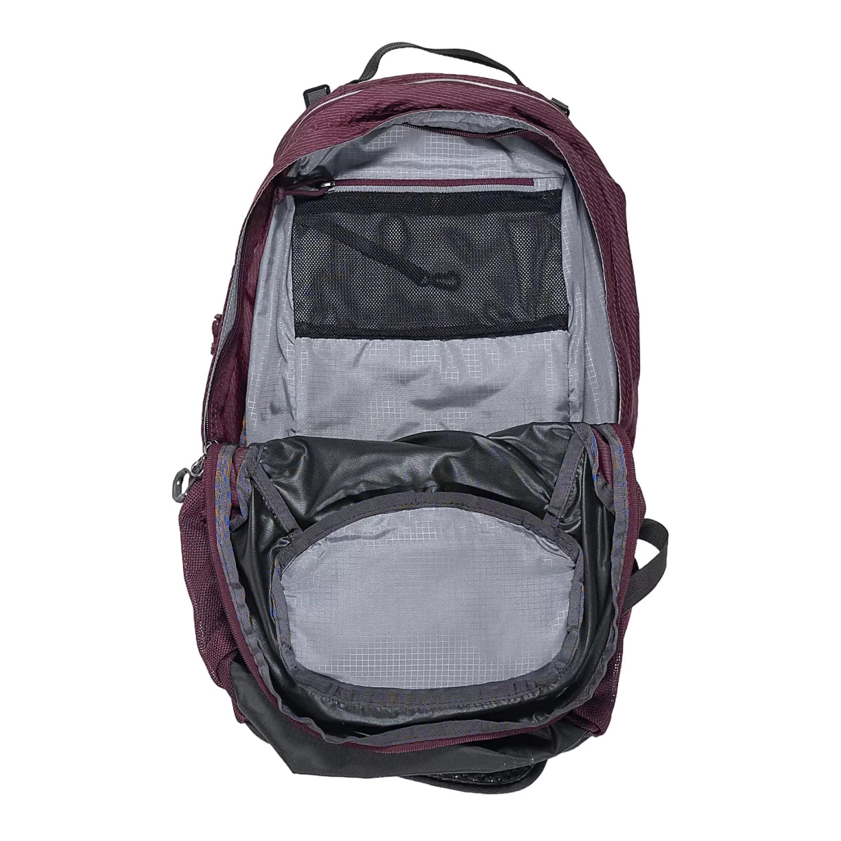 24 LPlum