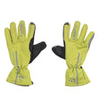 SNeon Yellow