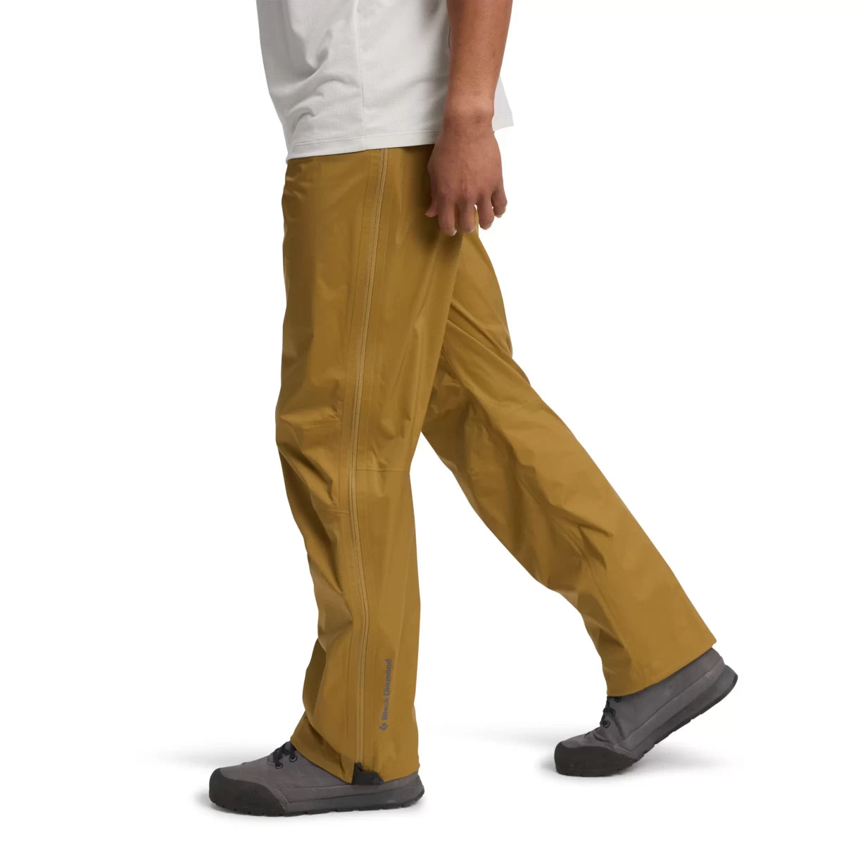 LFlax