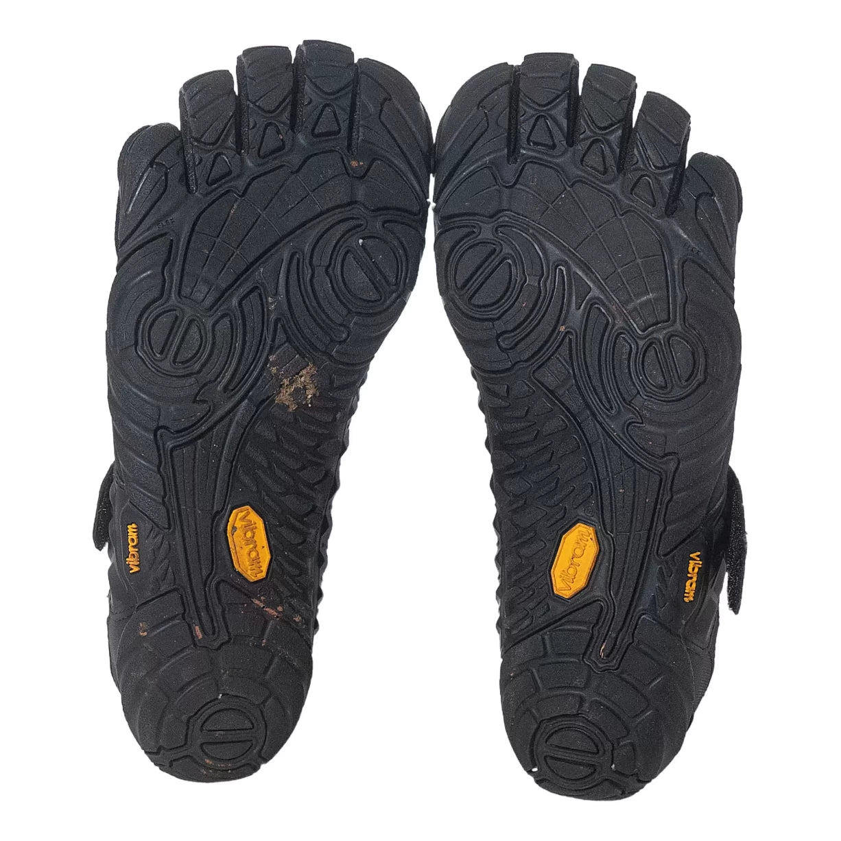 41.0Black