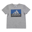 3.0Grey