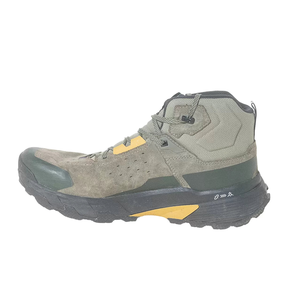 11Olive