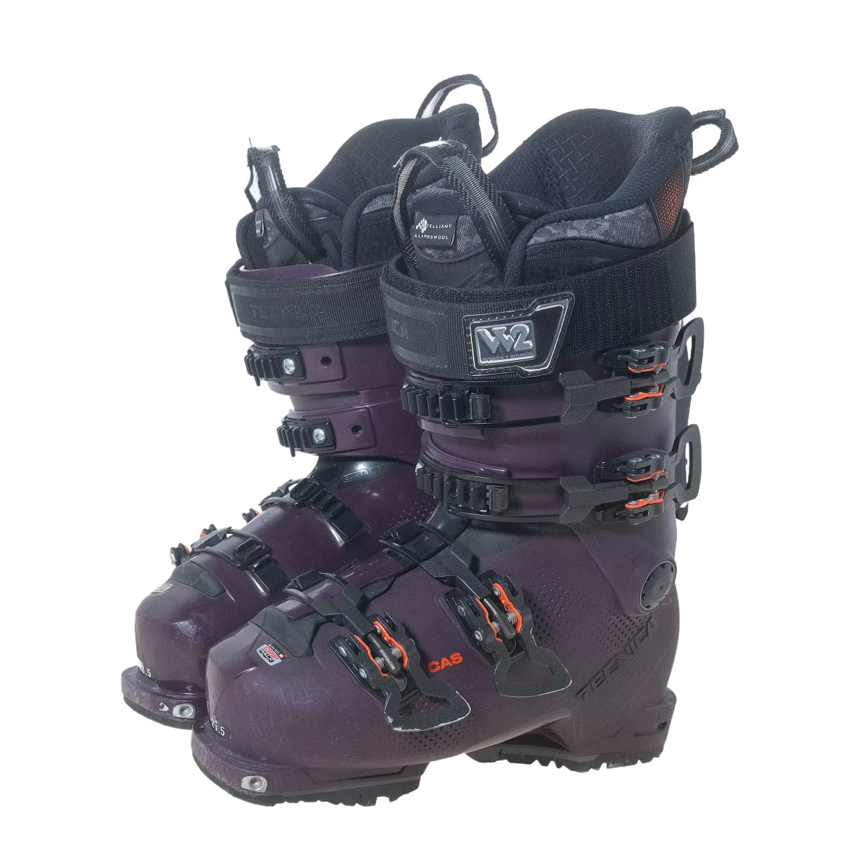 23/23.5Purple