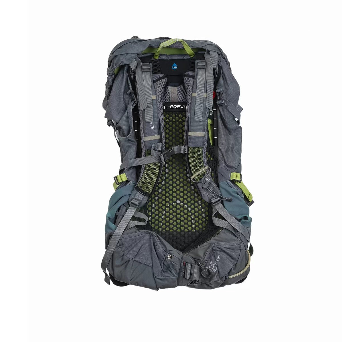 50 LGray/Green