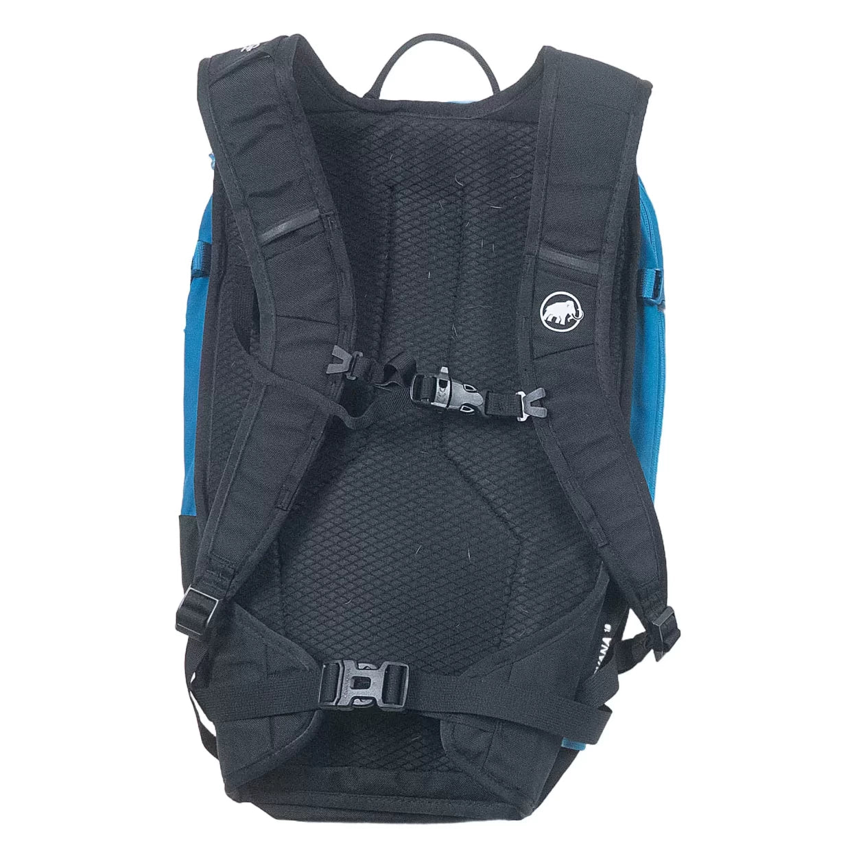 18 LBlue