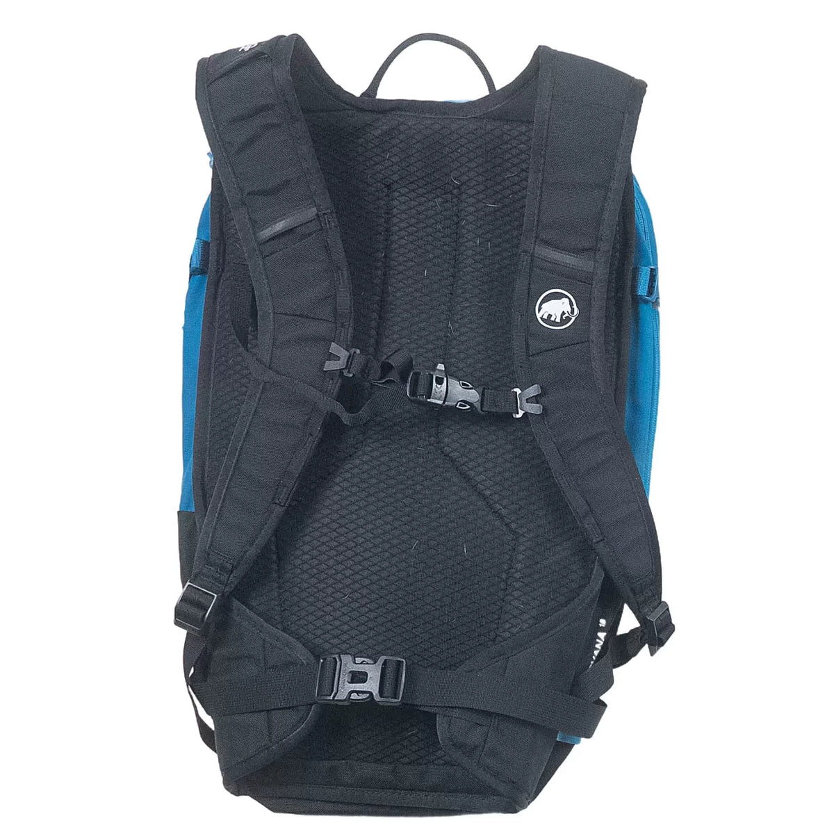 18 LBlue