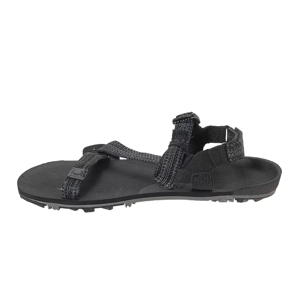 7Black