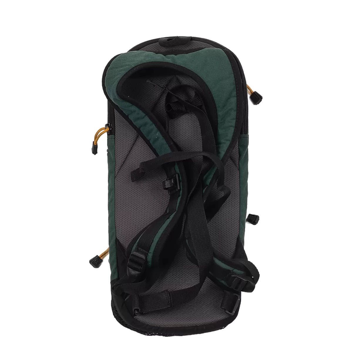 12 LForest Green