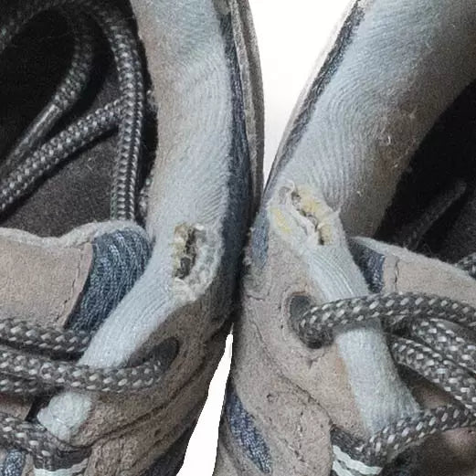8.5Gray