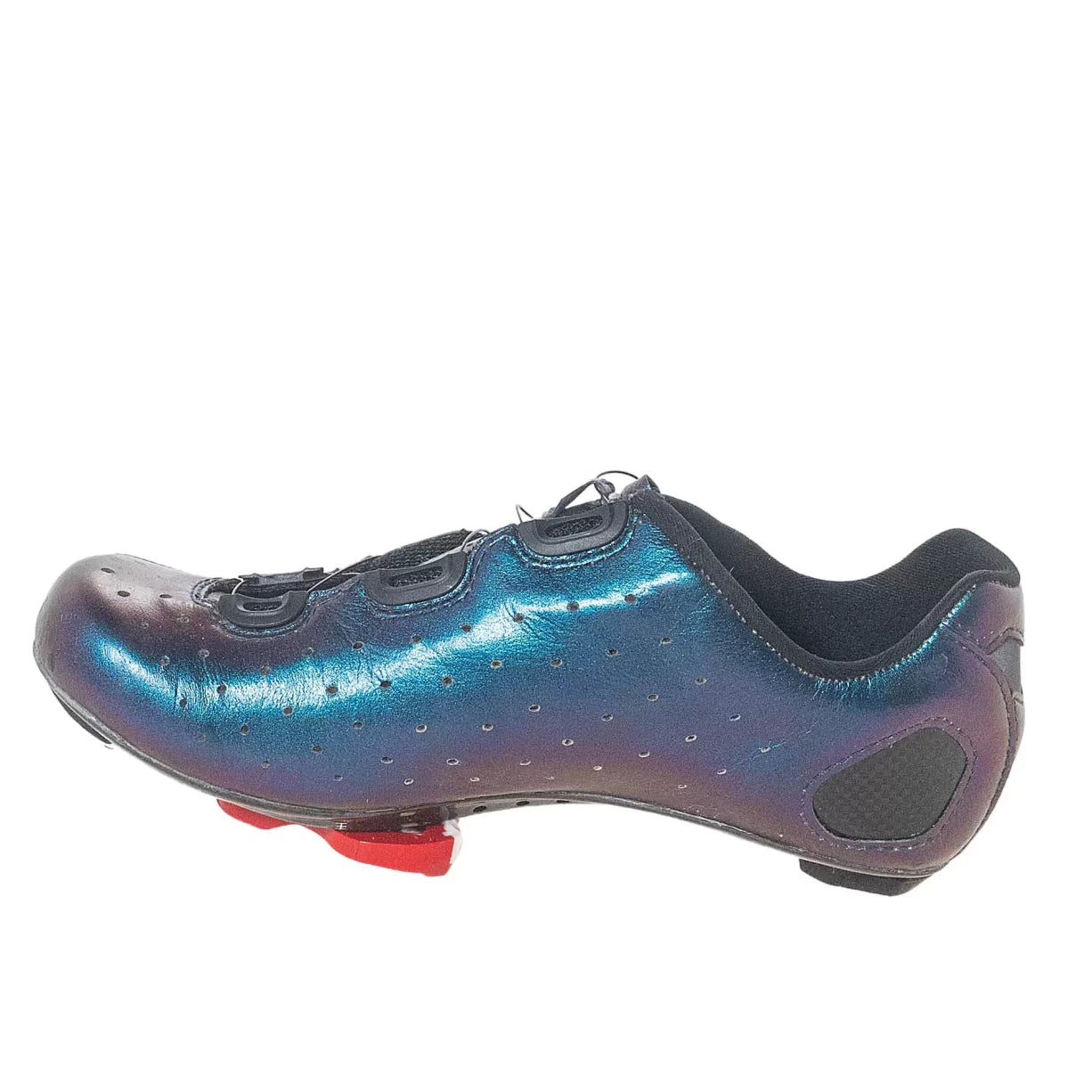 41.0Purple/Blue