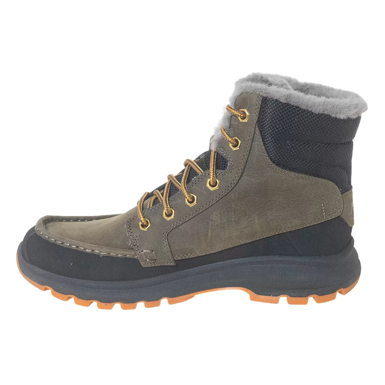 11.5Olive