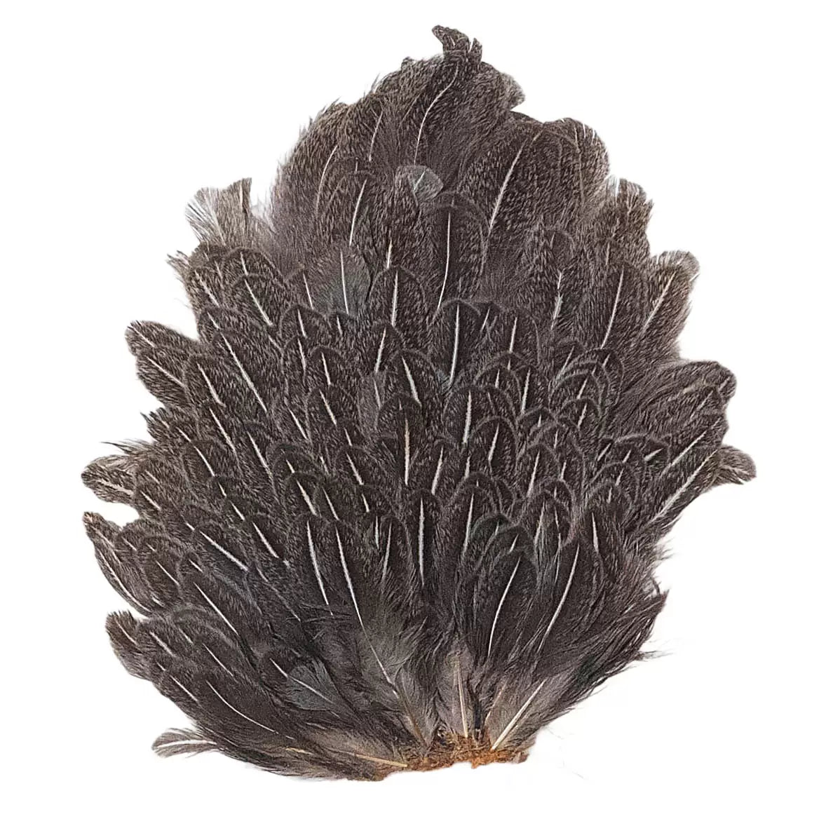 One SizeBrown