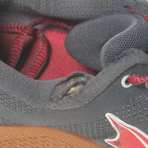 Estimated 9-9.5Grey/Red