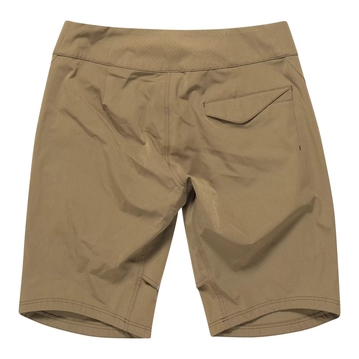 6Olive