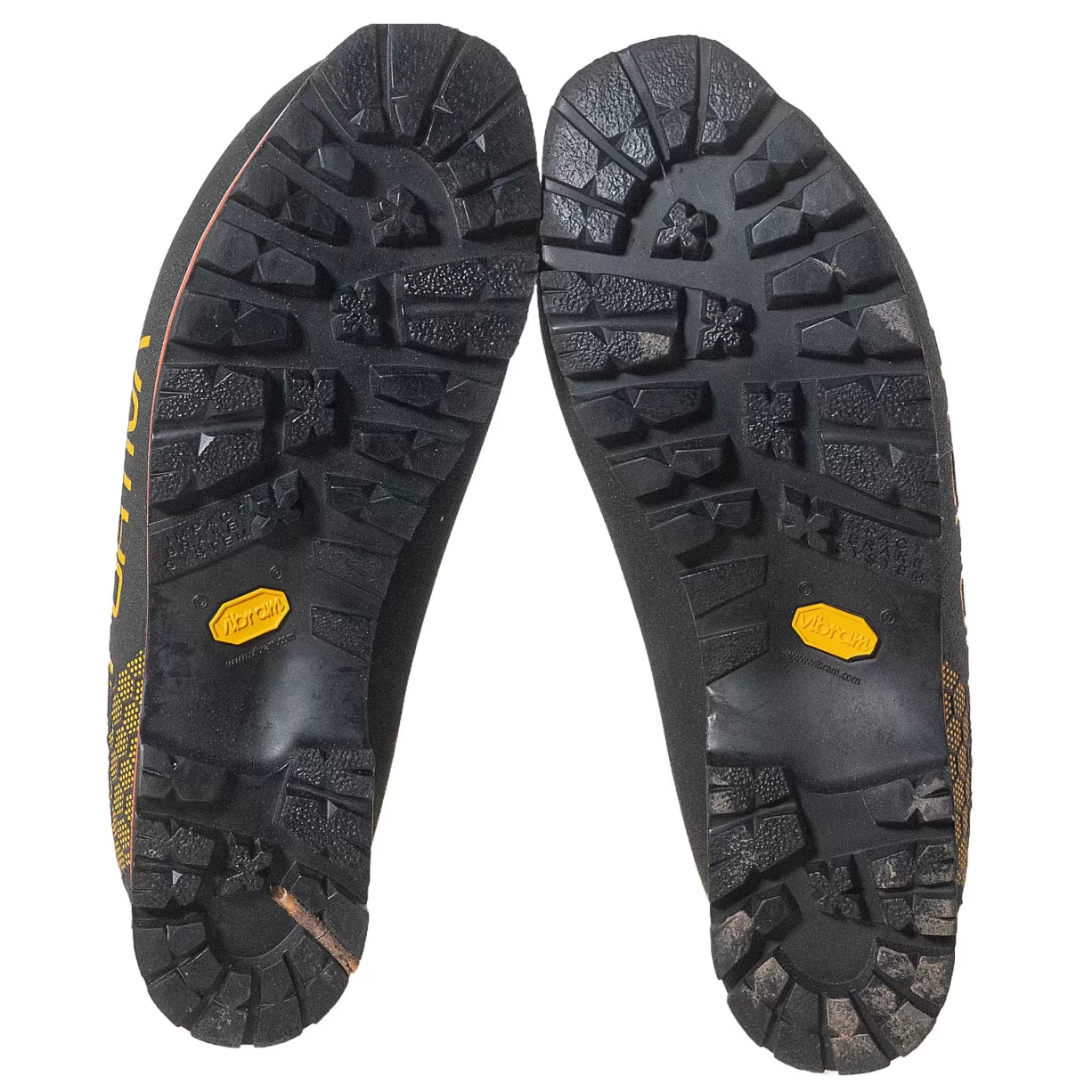 43.5Yellow/Black