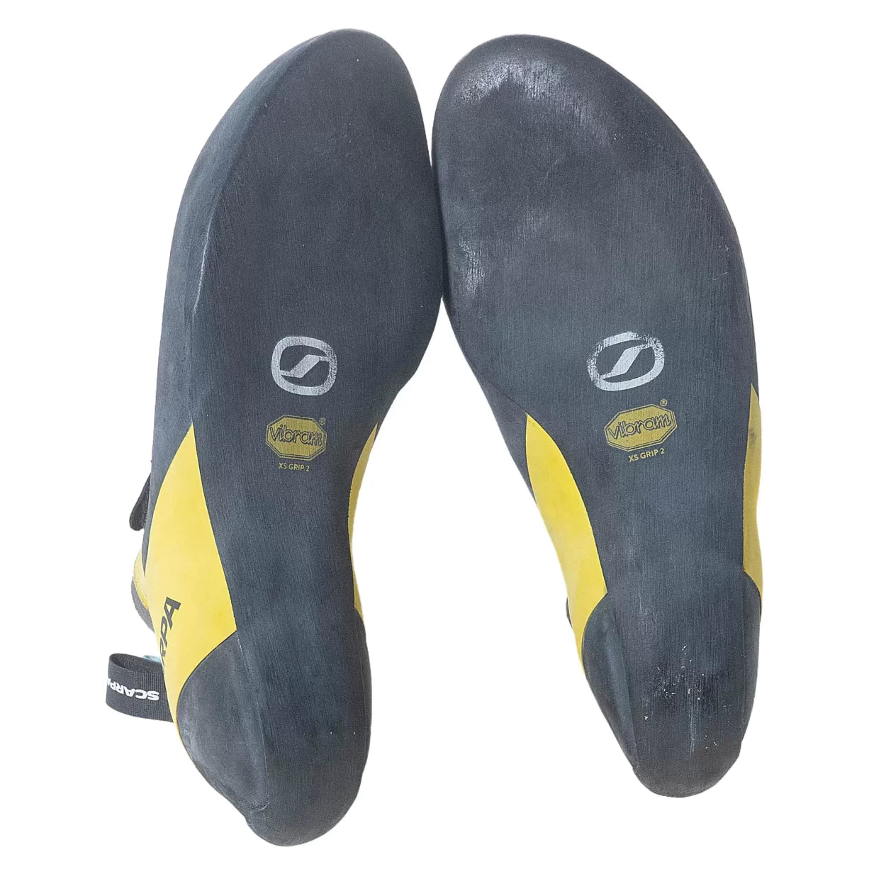 43.0Black/Yellow