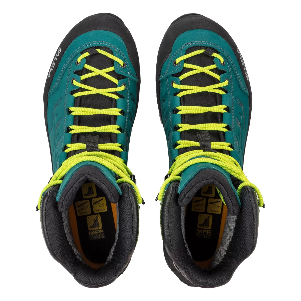 7Shaded Spruce/Sulphur Spring