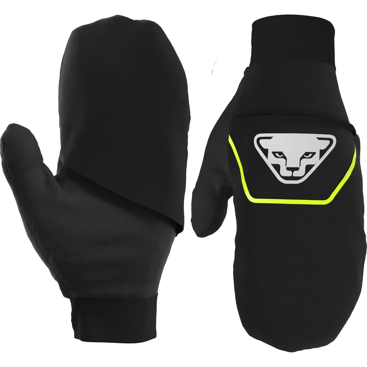 XS/SBlack Out