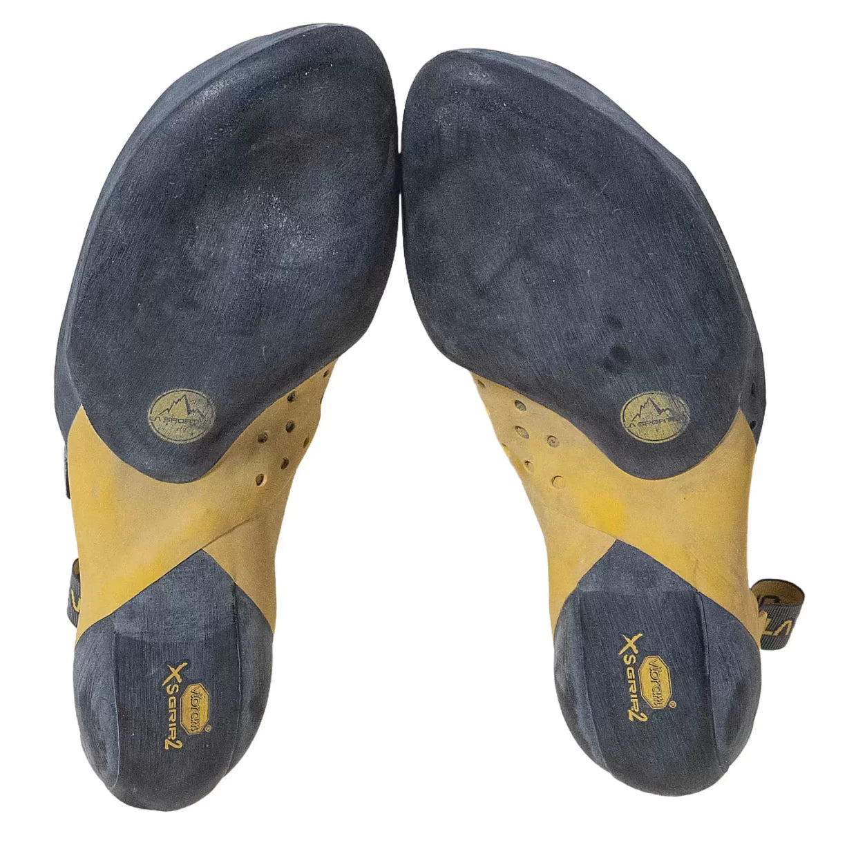 43.0Black/Yellow