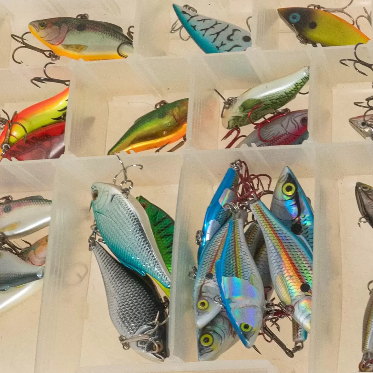VariousMulticolor