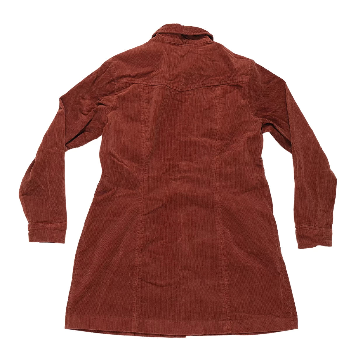 XXLBurnt Orange