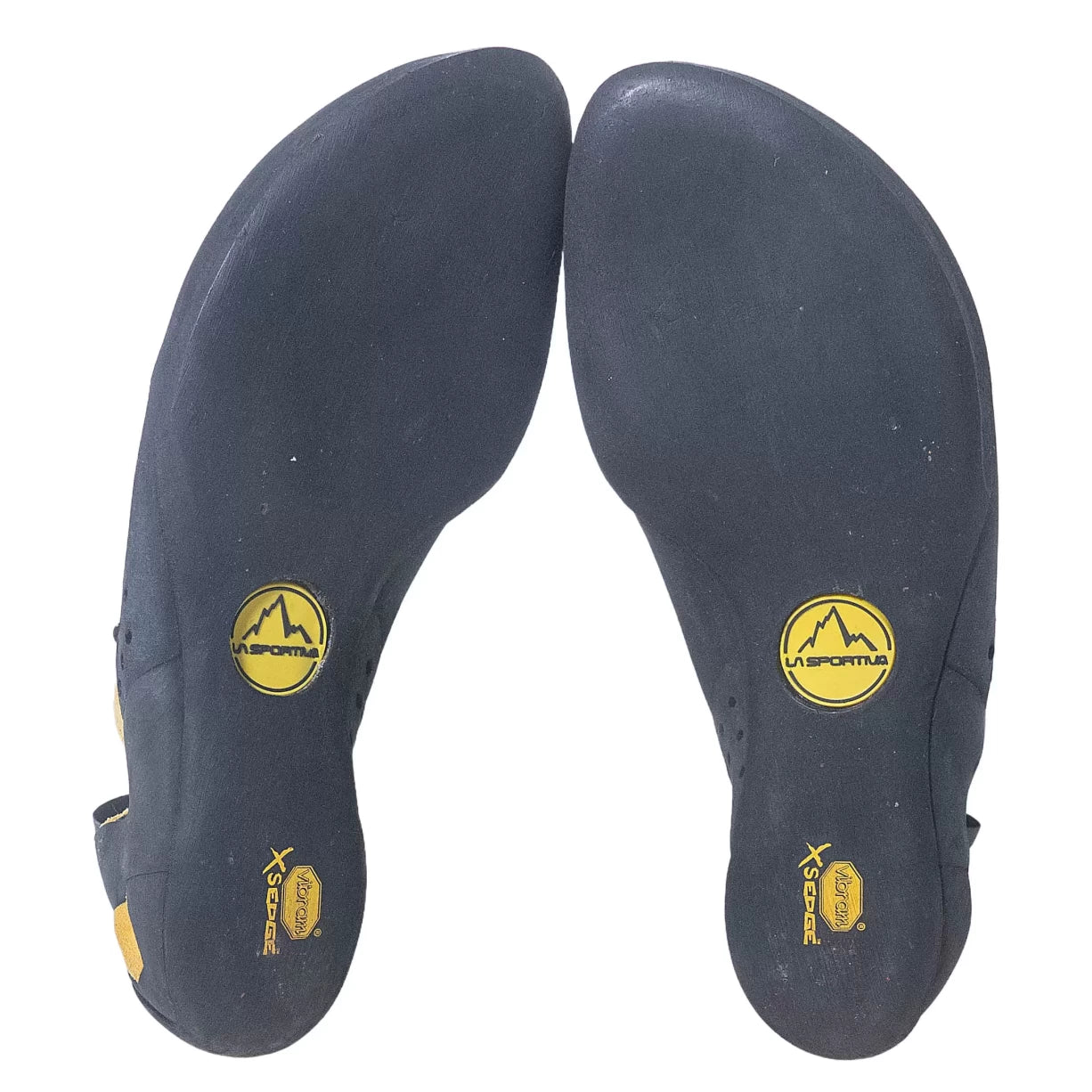 43.0Yellow/Black
