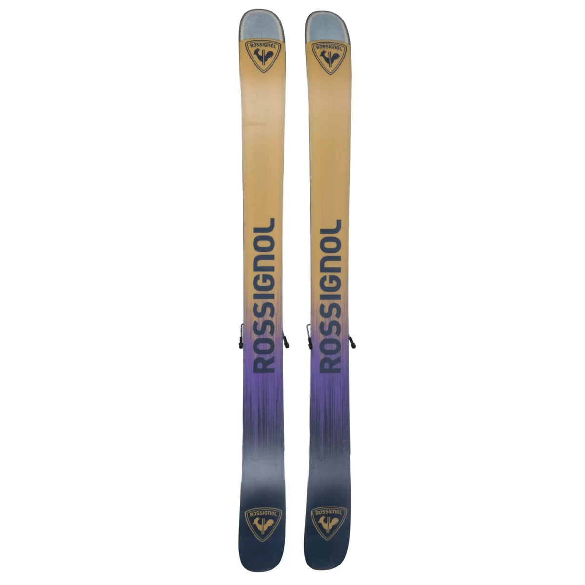 176Purple/Yellow