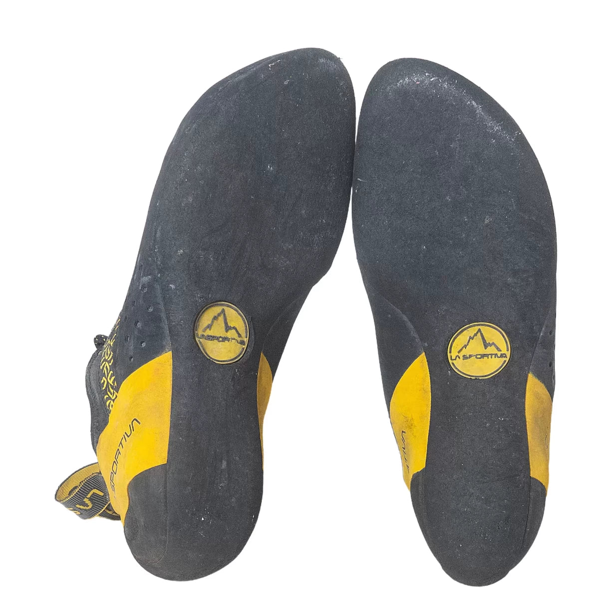 41.5Yellow