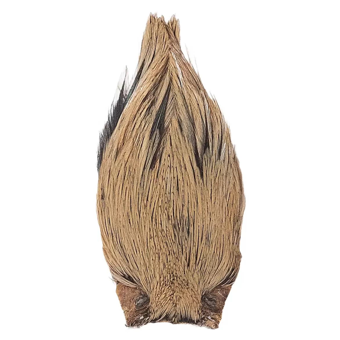 One SizeTan