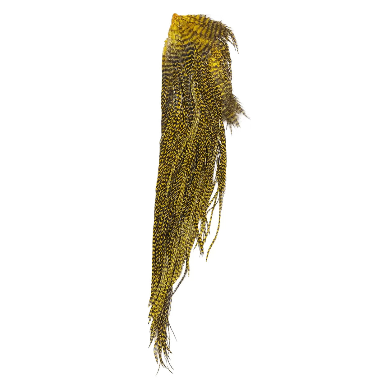 One SizeYellow