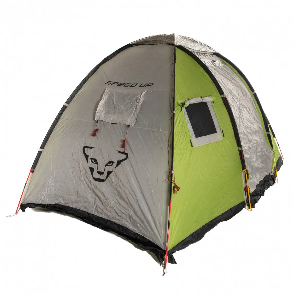 One SizeCactus/Silver/Black